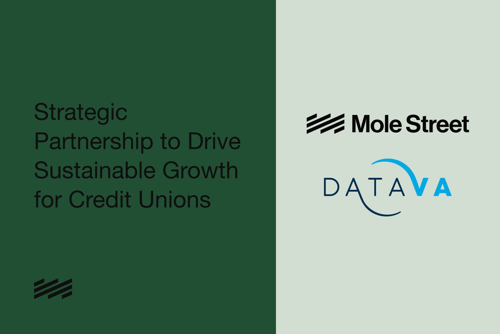 Mole Street and Datava Partner to Help Credit Unions Unlock Data-Driven Growth